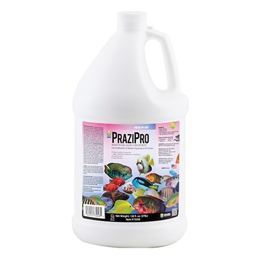 Liquid PraziPro 1 GAL | Hikari