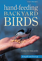 Image Hand-Feeding Backyard Birds