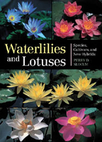Image Waterlilies and Lotuses