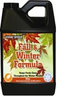 Image Clear Pond Fall and Winter Formula