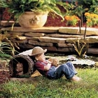 Image Sleeping Boy on Log