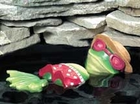 Image Sunbathing Frog from CobraCo