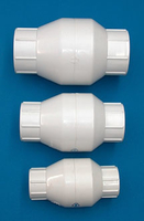 Image Check Valve (spring) Slip