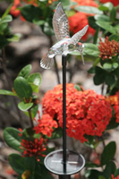 Image Chameleon Color Changing All-Season Garden Stake-Hummingbird