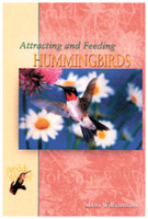 Image Attracting and Feeding Hummingbirds