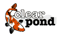 Image Clear Pond