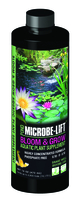 Image Microbe-Lift EcoLab Bloom and Grow