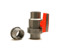 Image Single Union Ball Valves