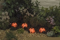 Image Ladybug Solar Light Set