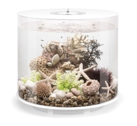 Image biOrb TUBE 35L MCR White  45974