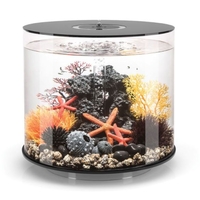 Image biOrb TUBE 35L MCR Black  45984