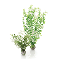 Image biOrb Winter Flower Plant Pack