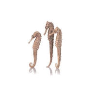 Image biOrb Seahorse Set of 3 natural 55063