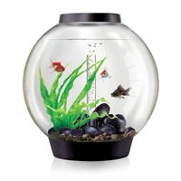 Image biOrb CLASSIC 60 Aquarium - 16 gallon Black