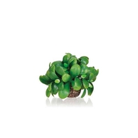 Image biOrb Mistletoe Ball  55076