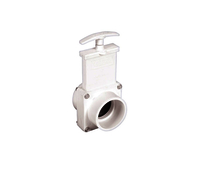 Image Gate Valve 2 Inch