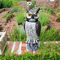 Image Motion Activated Solar Owl MRHO-4