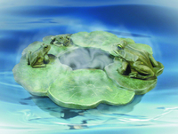Image Floating Frogs Auto-Water leveling Floater