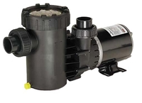 Image GV150 1 1/2 hp GV Series External Pump  Medium Head