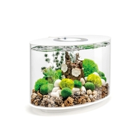 Image LOOP 15 Aquarium with MCR Light - 4 gallon White 86469