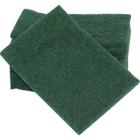 Image DL69P DuraLiner Liner Scrubber Pads (5 pads)